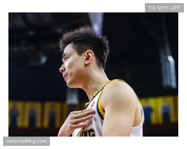 辽宁大胜广东 乌戈赵继伟表现惊艳